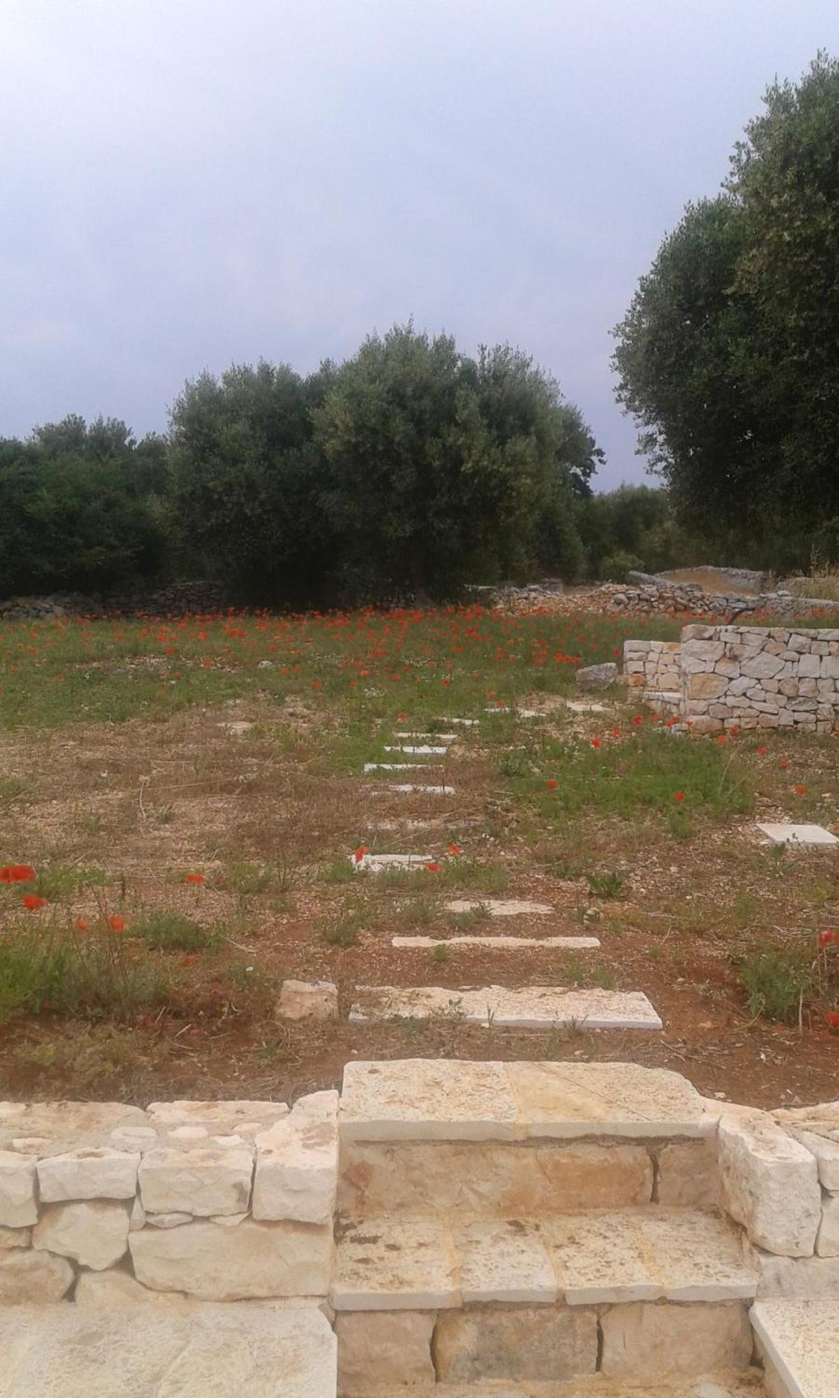 Trullo Alto Salento Villa Cisternino Bagian luar foto