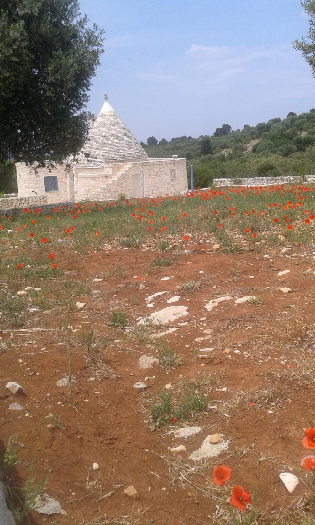 Trullo Alto Salento Villa Cisternino Bagian luar foto